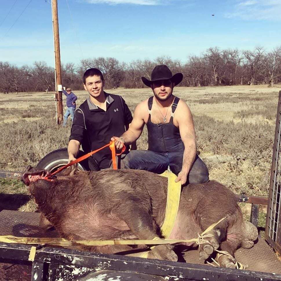 800lbs hog blain garcia wyatt walton
